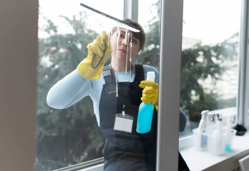 Nettoyage de vitres intérieures et extérieures à Agnat